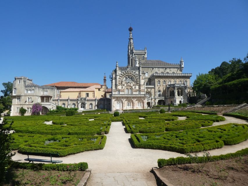 An Adventure Through the Forest and Palace of Bussaco - Coim - Exploring the Bussaco National Forest