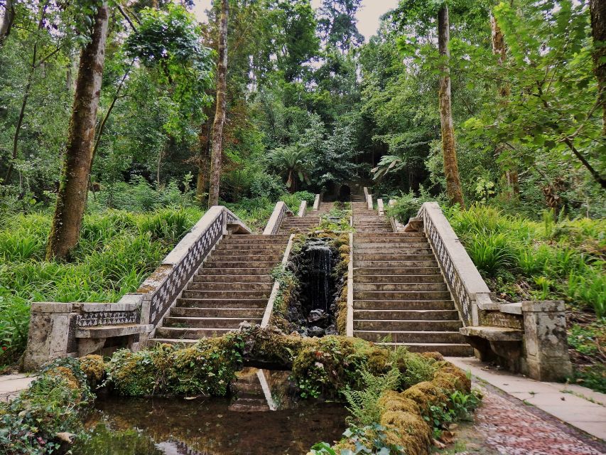 An Adventure Through the Forest and Palace of Bussaco - Coim - Learning the History of the Forest