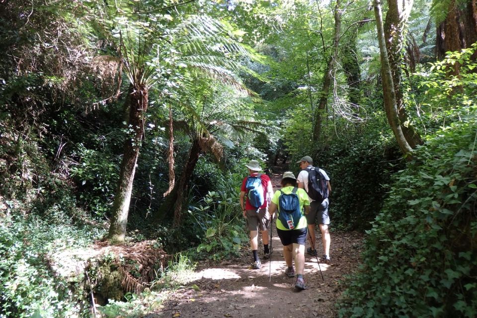 An Adventure Through the Forest and Palace of Bussaco - Coim - Weather Considerations