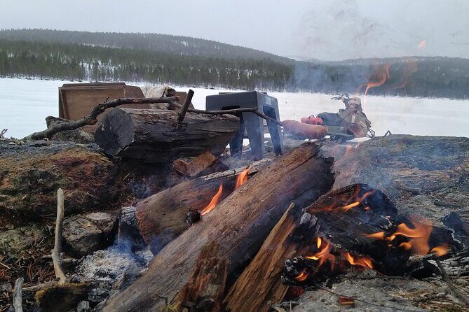 An Evening in the Backcountry, Northern Lights on a Sleighride - Exploring the Experience in Detail
