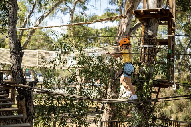 An exciting, Tree Top Adventure for Our Littlest Adventurers - An Inside Look at TreeClimb Adelaide
