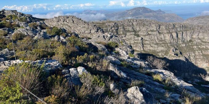 An Exclusive Full-day Tour of Table Mountain & Robben Island - Exploring Robben Island