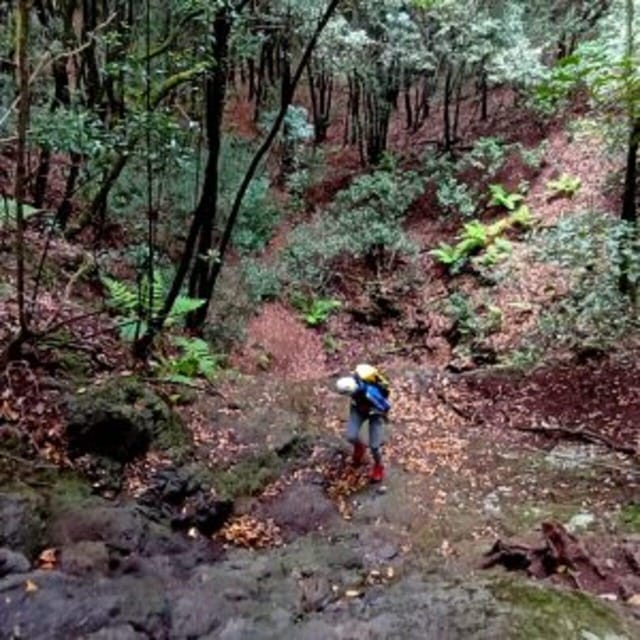 Anaga Canyoning - Highlights of the Experience