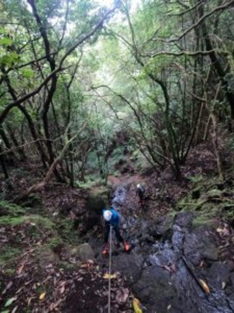 Anaga Canyoning - Nature and Sustainability Aspects