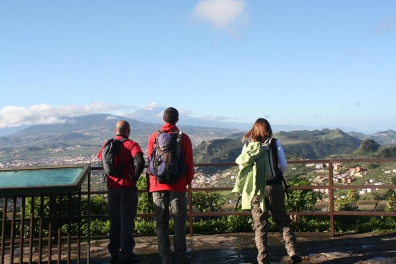 Anaga, La Laguna and Tacoronte-Acentejo - Forests, History and Wines: VIP Tour - Tasting the Wines of Tacoronte-Acentejo