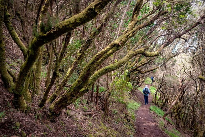 Anaga Mountains Tenerife - Chamorga Guided Hike - The Practicalities: What You Need to Know