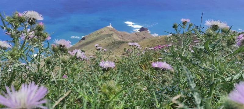 Anaga Mountains Tenerife - Chamorga Guided Hike - Who Should Consider This Experience?