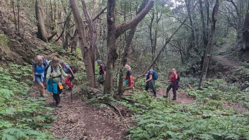 Anaga Mountains Tenerife - Chamorga Guided Hike - FAQ