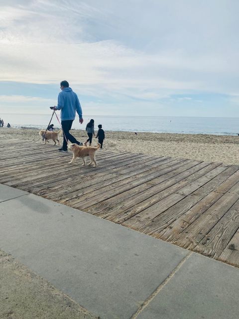 Anaheim City Private Tour - Key Points