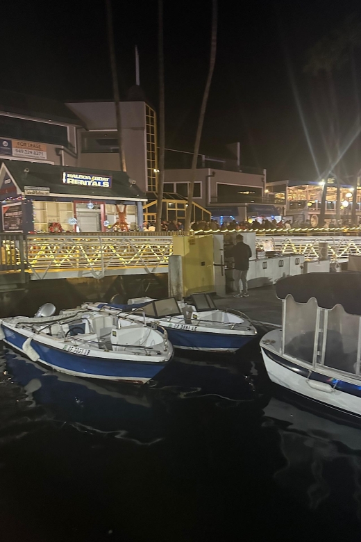 Anaheim City Private Tour - Driver and Highlights