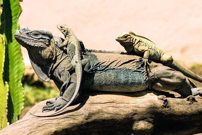 Anamuya Mountains Small Group Walking Tour - Final Thoughts: Is It Worth It?