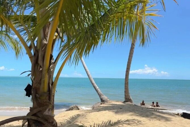 Añasco-Bunny Fever Adventure Experience - Using the Tour: What’s the Experience Like?