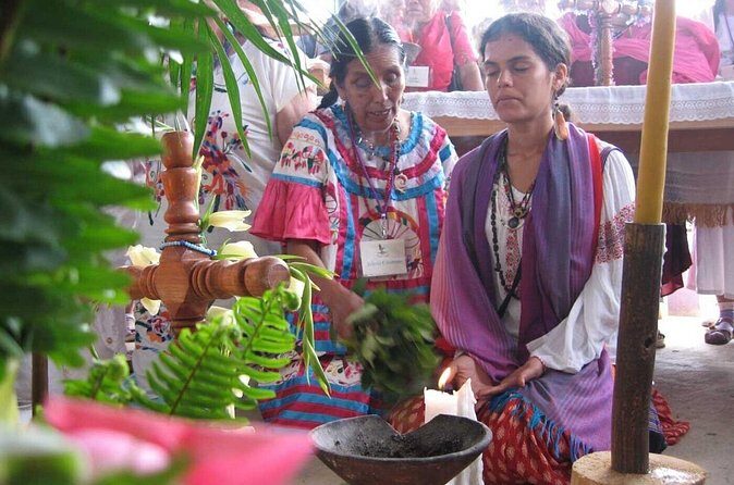 Ancestral and Traditional Knowledge Workshop - What’s Included and What’s Not