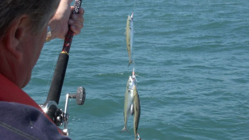 Ancestral Fishing: Fishing With an Experienced Rapa Nui - Pricing Information
