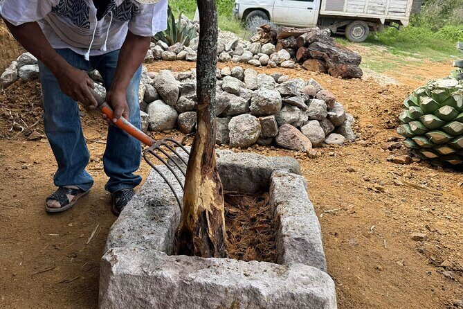 Ancestral Mezcal Tour Experience A pre Hispanic Heritage - The Itinerary: A Step-by-Step Journey into Mezcal Heritage  
