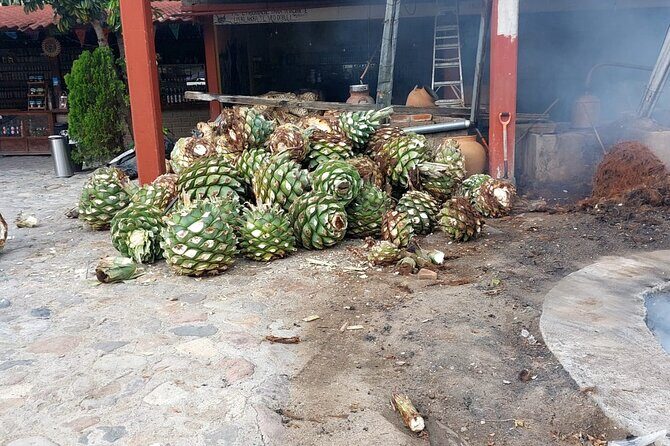 Ancestral Mezcal Tour Experience A pre Hispanic Heritage - Frequently Asked Questions  