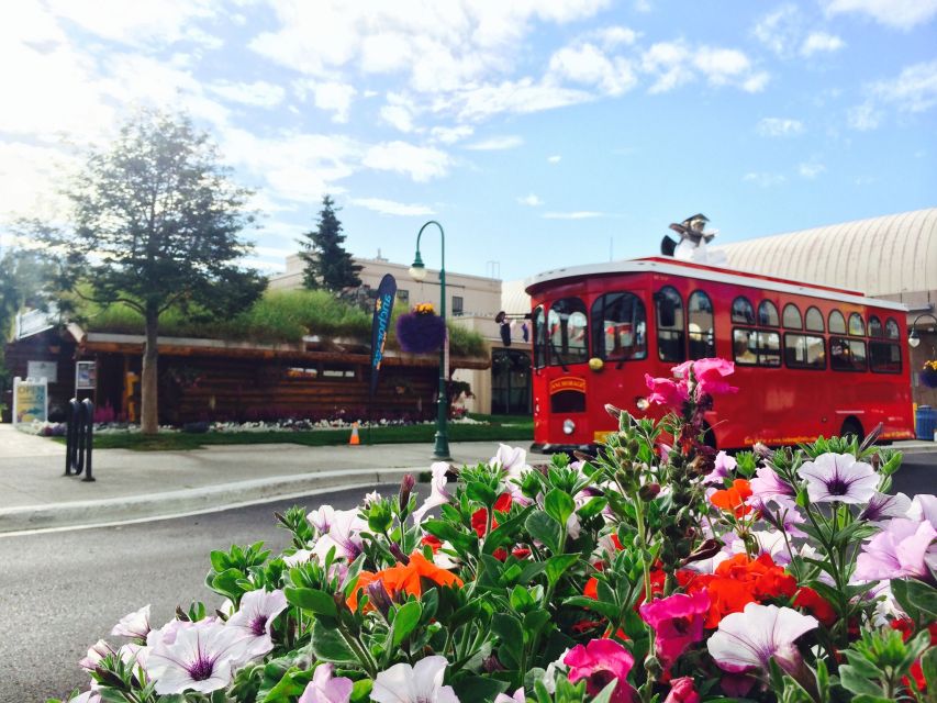 Anchorage: 1-Hour Trolley Tour - Mountain Ranges and Wildlife Sightings