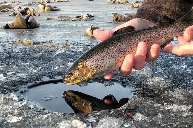 Anchorage Ice Fishing Adventure Review - Overview of the Adventure