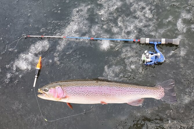 Anchorage Ice Fishing Adventure Review - Participants Experience