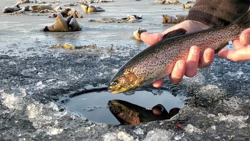 Anchorage: Ice Fishing Trip With Transportation - An Authentic Taste of Alaskan Winter: The Ice Fishing Trip in Anchorage