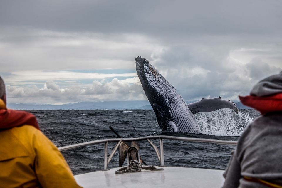 Anchorage: Kenai Fjords & Denali National Park 5 Day Tour - Key Points
