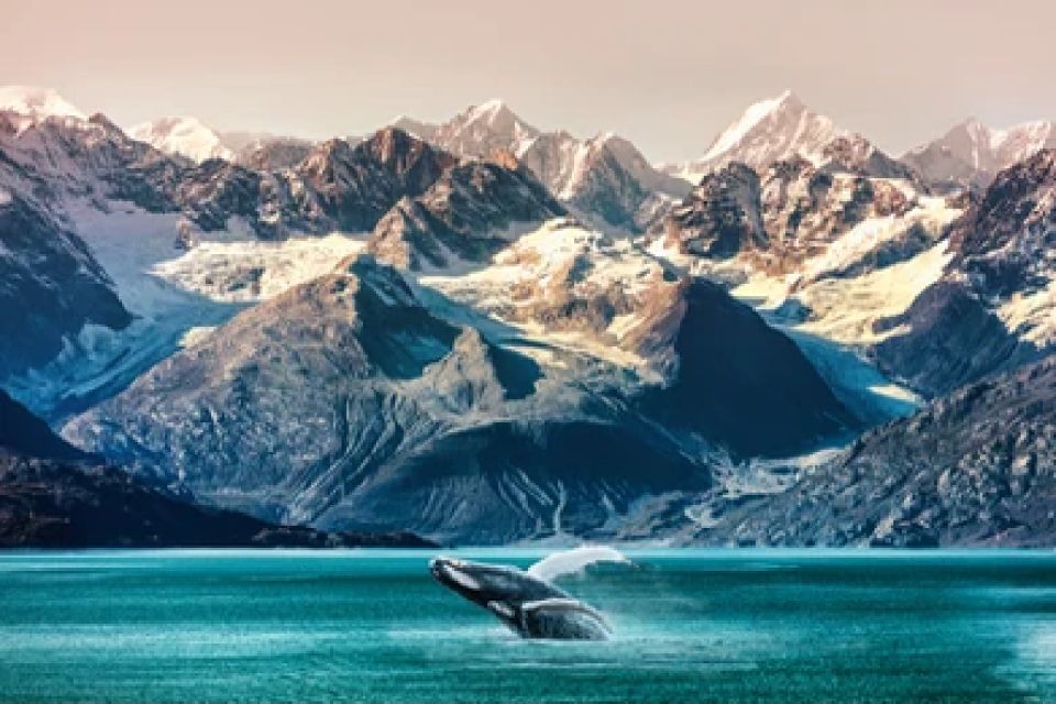 Anchorage: Kenai Fjords & Denali National Park 5 Day Tour - Reservation Details