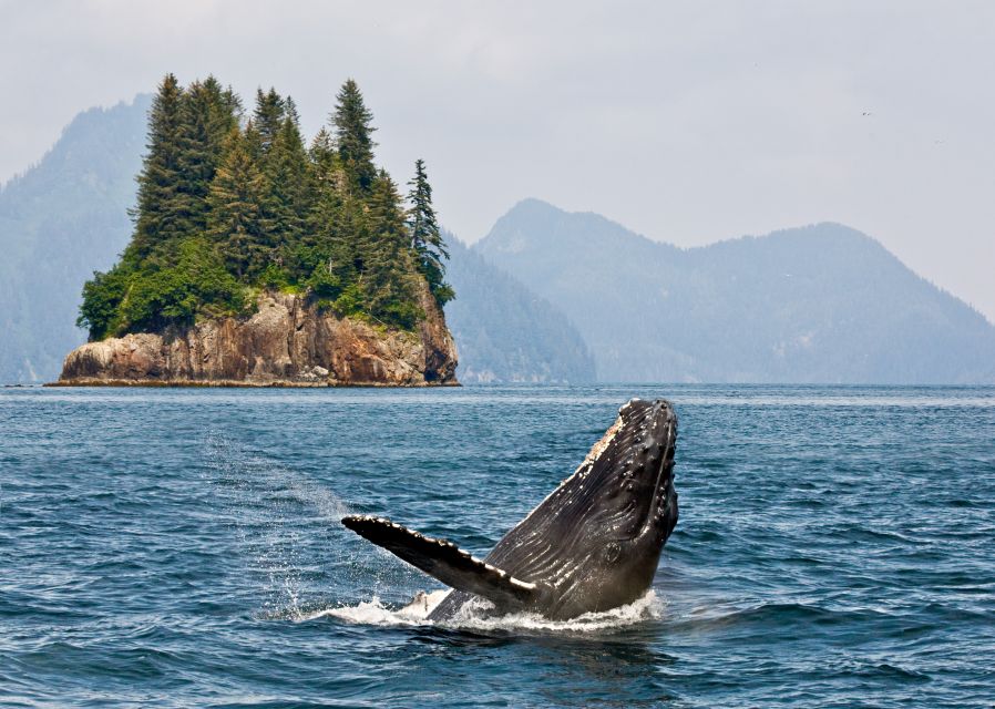 Anchorage: Kenai Fjords & Denali National Park 5 Day Tour - Exciting Activities
