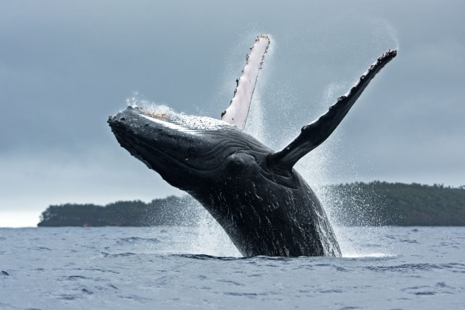 Anchorage: Kenai Fjords & Denali National Park 5 Day Tour - Customer Reviews