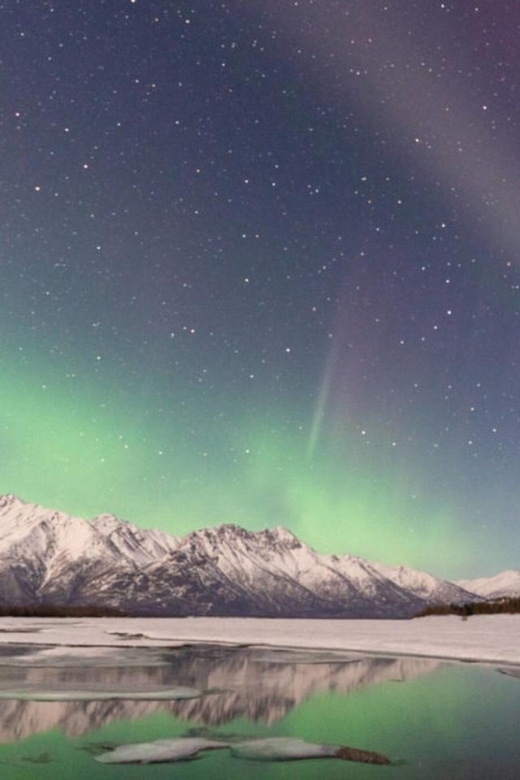 Anchorage: Nighttime Northern Lights Tour - Highlights of the Experience