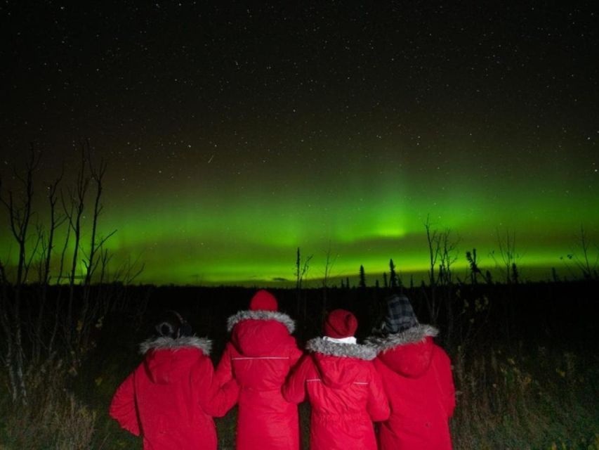 Anchorage: Nighttime Northern Lights Tour - Inclusions and Services