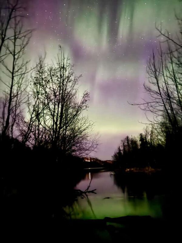 Anchorage: Northern Lights Snowshoe Adventure - Key Points