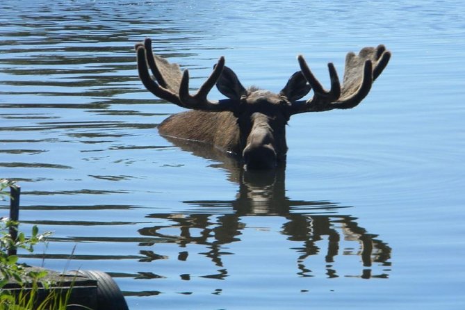 Anchorage to Seward Cruise Transfer and Private Tour - Tour Itinerary