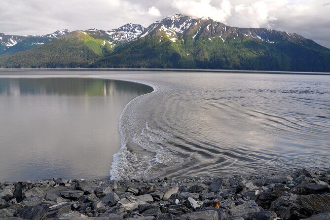 Anchorage to Whittier Direct Transfer Tour - What is the Anchorage to Whittier Transfer Tour?