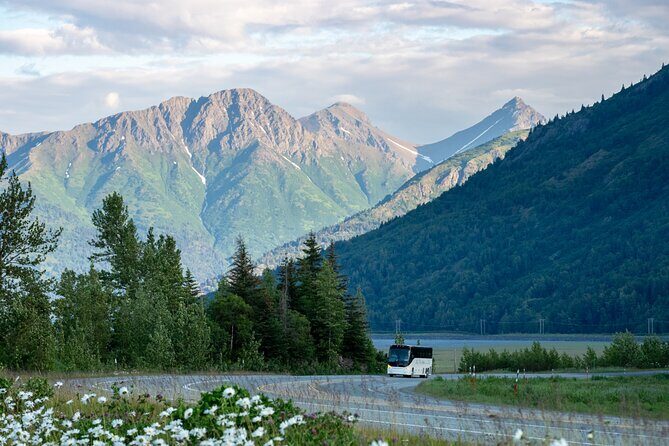 Anchorage to Whittier Direct Transfer Tour - Authentic Insights from Travelers