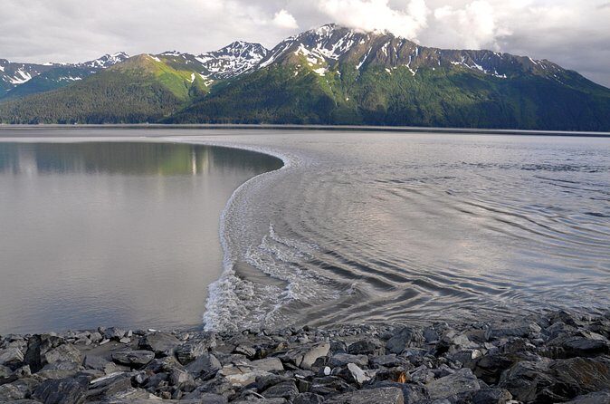 Anchorage to Whittier Direct Transfer Tour - What You Can Expect on the Day