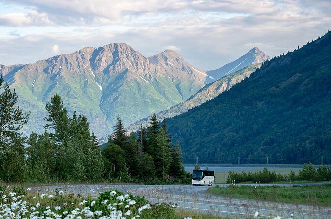 Anchorage to Whittier Direct Transfer Tour - Pricing and Value