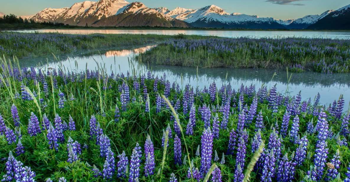 Anchorage: Turnagain Arm Highlights Photography Day Trip - Photography Instruction by Local Guide