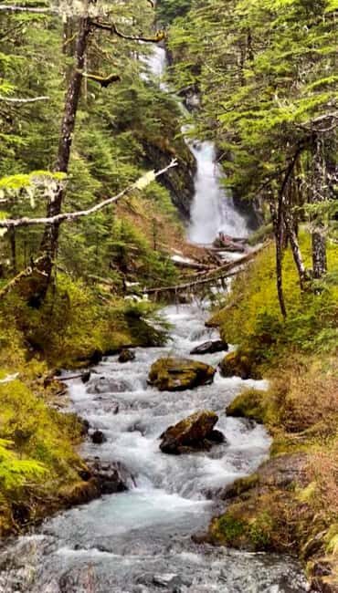 Anchorage: Wildlife, Glacier, and Wine Tasting Tour - FAQ