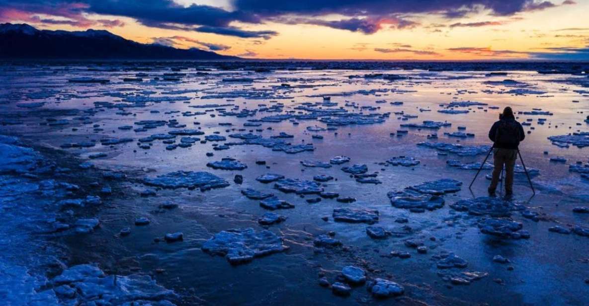 Anchorage: Winter Wonderland Photo Tour - Pickup and Drop-off