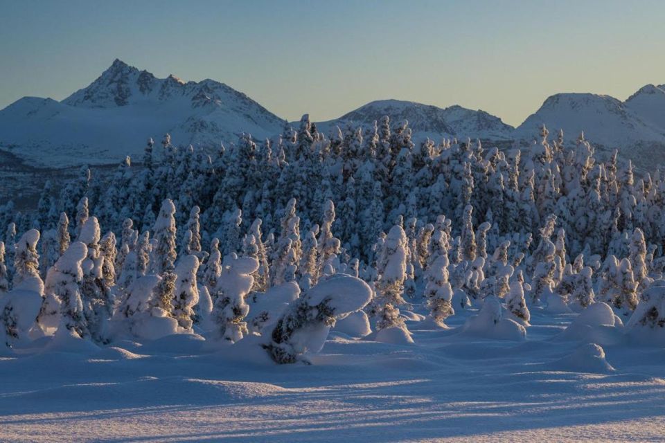 Anchorage: Winter Wonderland Photo Tour - Inclusions
