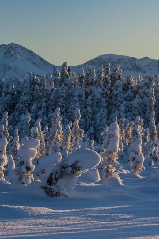 Anchorage: Winter Wonderland Photo Tour - Important Information