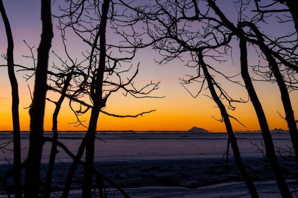 Anchorage: Winter Wonderland Photo Tour - What to Expect