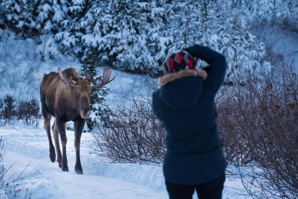 Anchorage: Winter Wonderland Photo Tour - Frequently Asked Questions