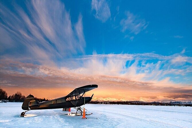 Anchorages Winter City Tour = Samples + Stops + WildLife - Exploring Anchorage Attractions
