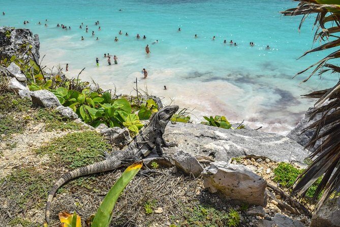Ancient adventure, visit Tulum Ruins with ZIPLINES, a UNDERGROUND CENOTE &Buffet - In-Depth Breakdown of the Itinerary