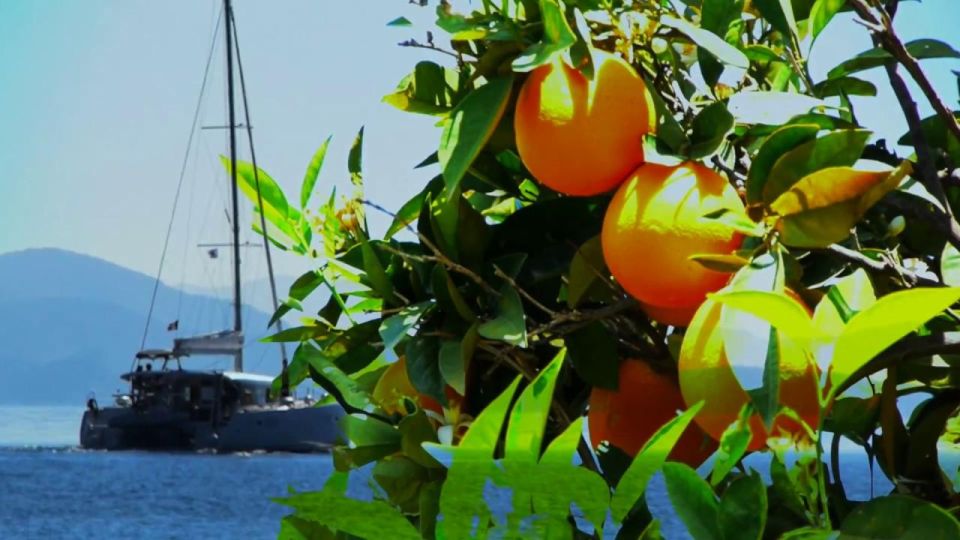 Ancient Corinth, Mycenae & snorkelling in sunken city - An introduction to an all-senses Greek adventure