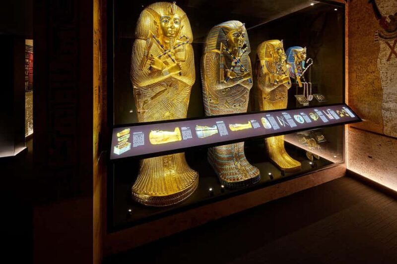 Ancient Egypt Night Tour in the heart of Cairns - What to Expect During the Tour
