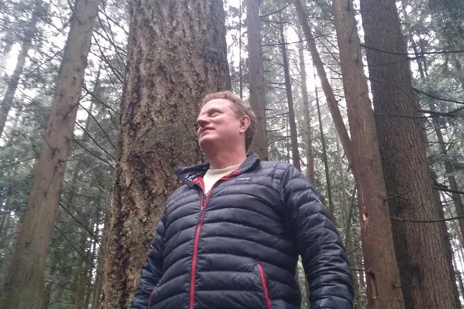 Ancient Forest , Waterfalls and Stunning Vistas Day Tour - Meeting and Pickup