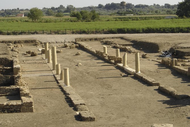 Ancient Greek ( Workout ) All Inclusion From Katakolo Port - Accessibility and Health Considerations