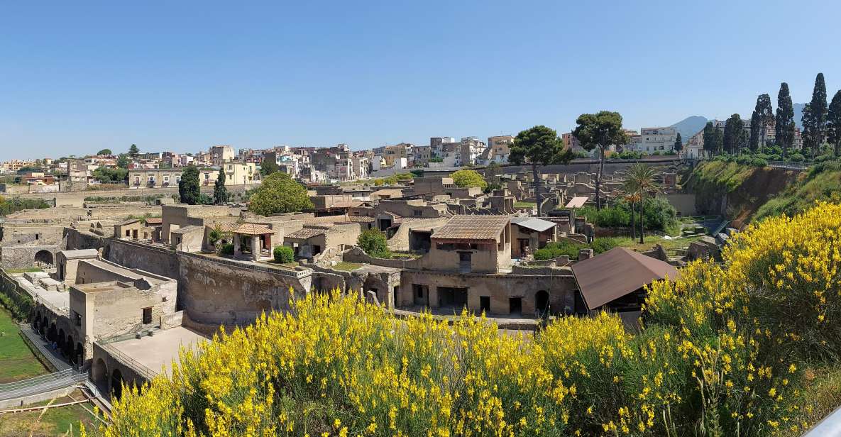 Ancient Herculaneum: 2,5-Hour Guided Tour - Key Points